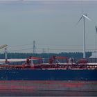 MINERVA LIBRA / Oil Products Tanker / Rotterdam