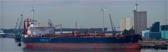 MINERVA LIBRA / Oil Products Tanker / Rotterdam