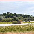 Minervois Weine