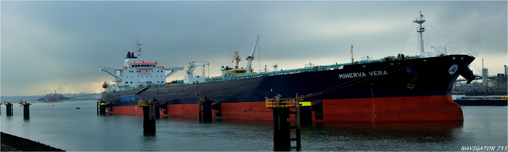 MINEVA VERA / Tanker / Rotterdam