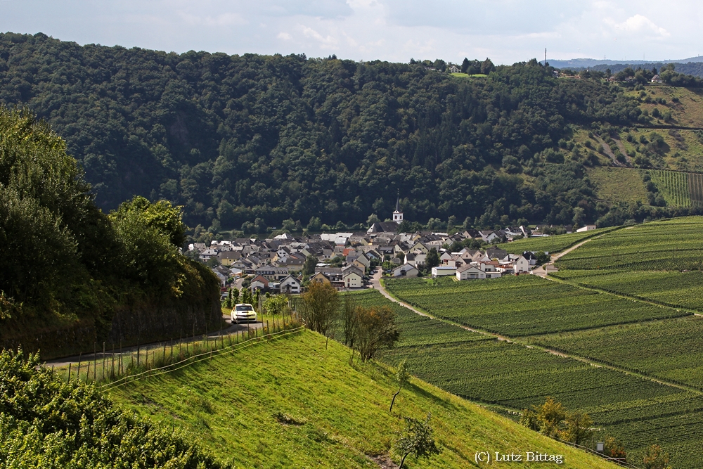 Minheim an der Mosel