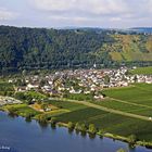 Minheim an der Mosel