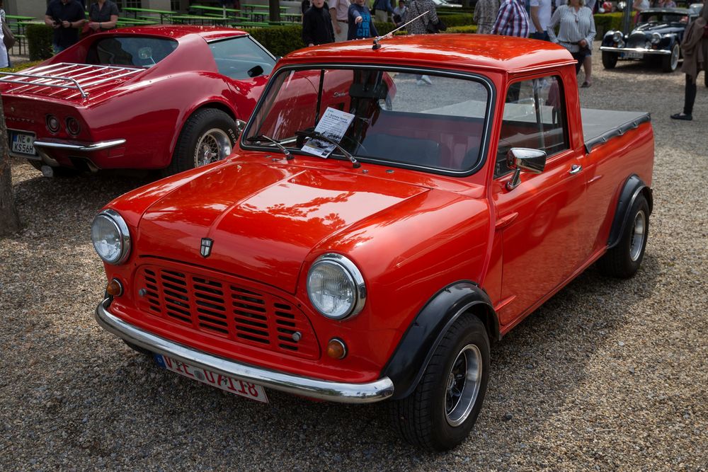 Mini