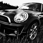 mini _ black and white