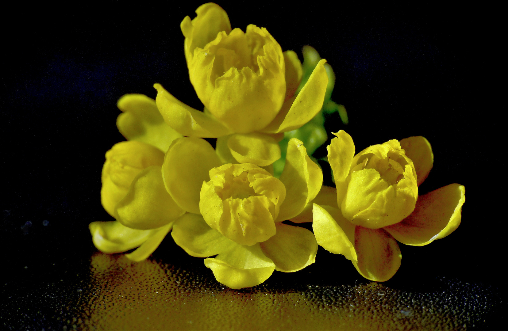 Mini bouquet de Mahonia