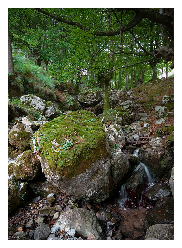 Mini-cascada en Arrazola