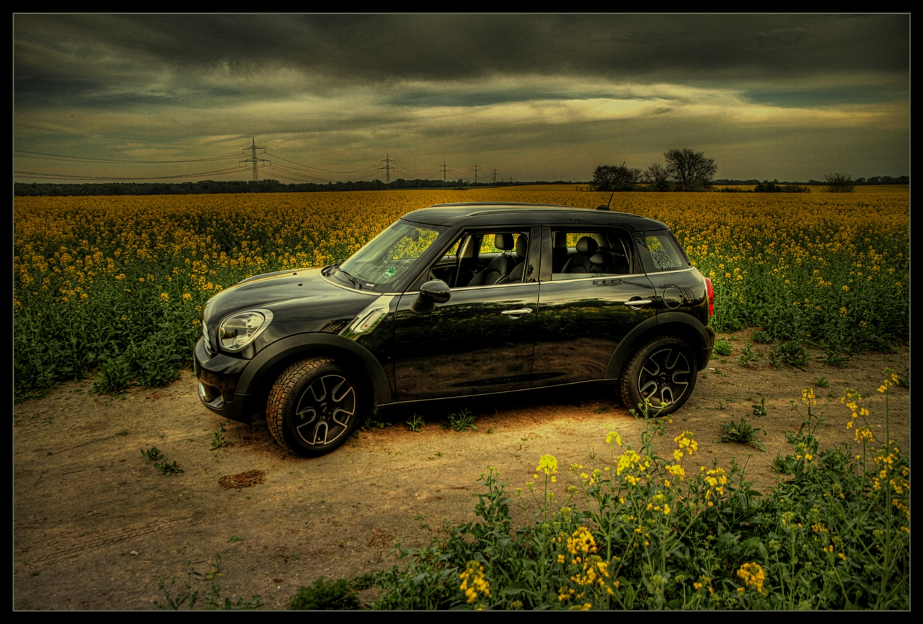 Mini Cooper Countryman im blühenden Rapsfeld [HDRi]