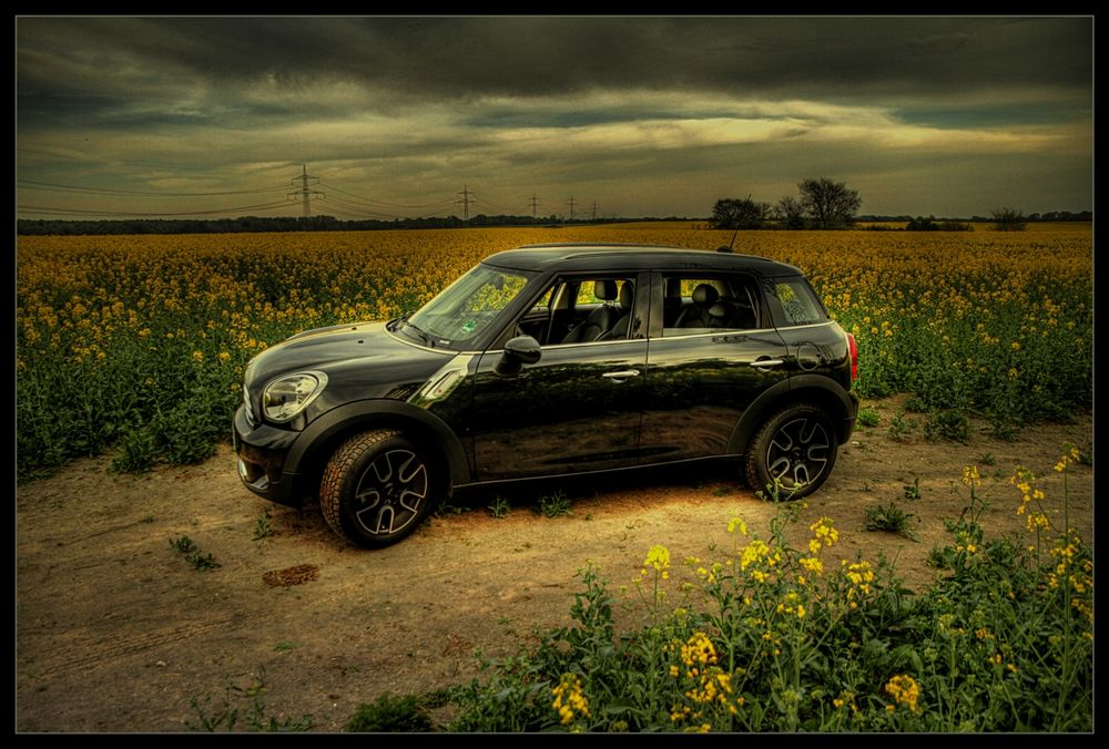 Mini Cooper Countryman im blühenden Rapsfeld [HDRi]