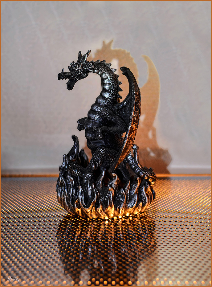 mini dragon on fire ...