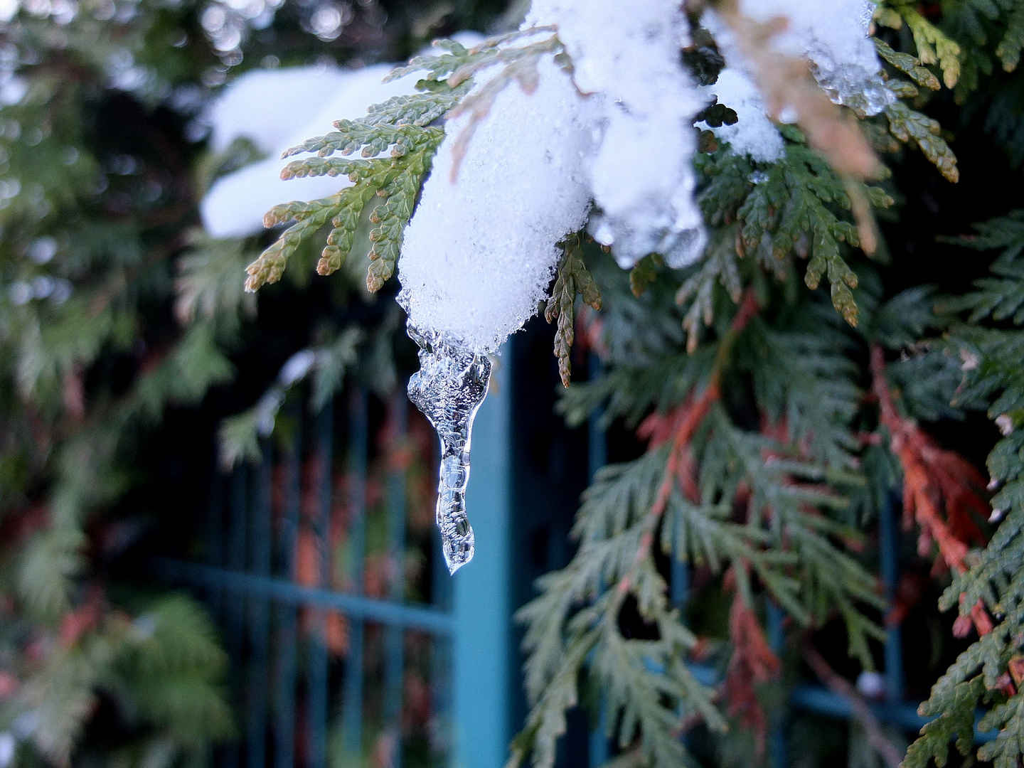 Mini-Eiszapfen