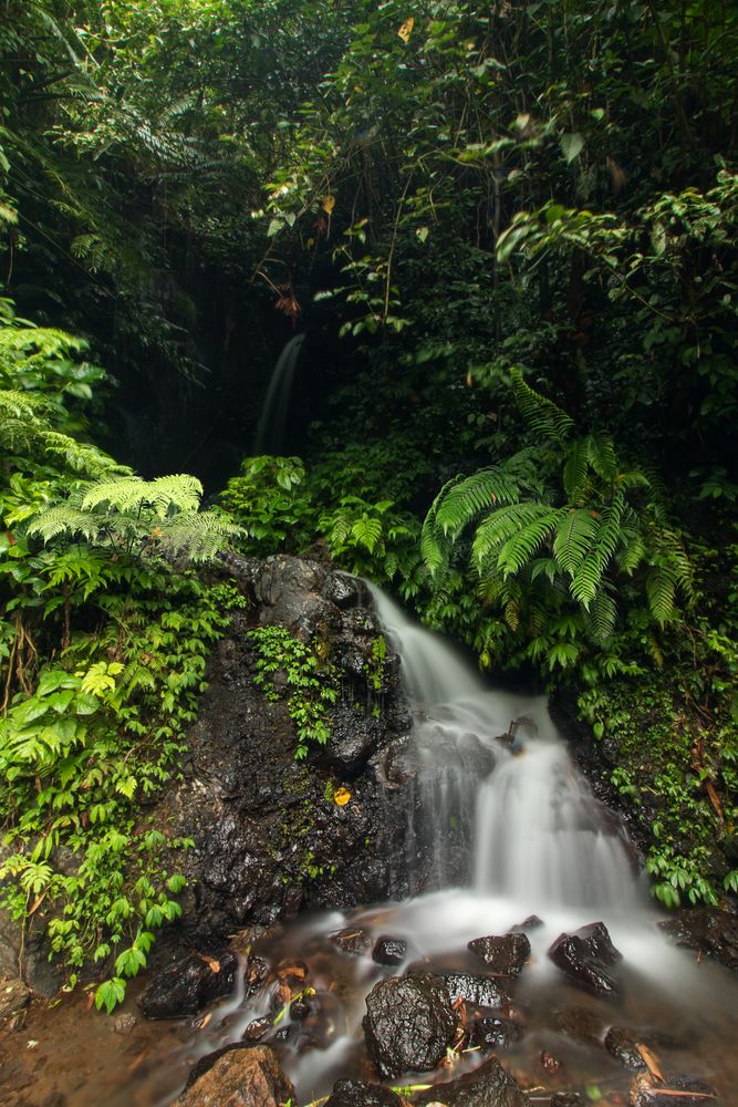 Mini Falls at the Gitgit Waterfall