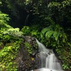 Mini Falls at the Gitgit Waterfall