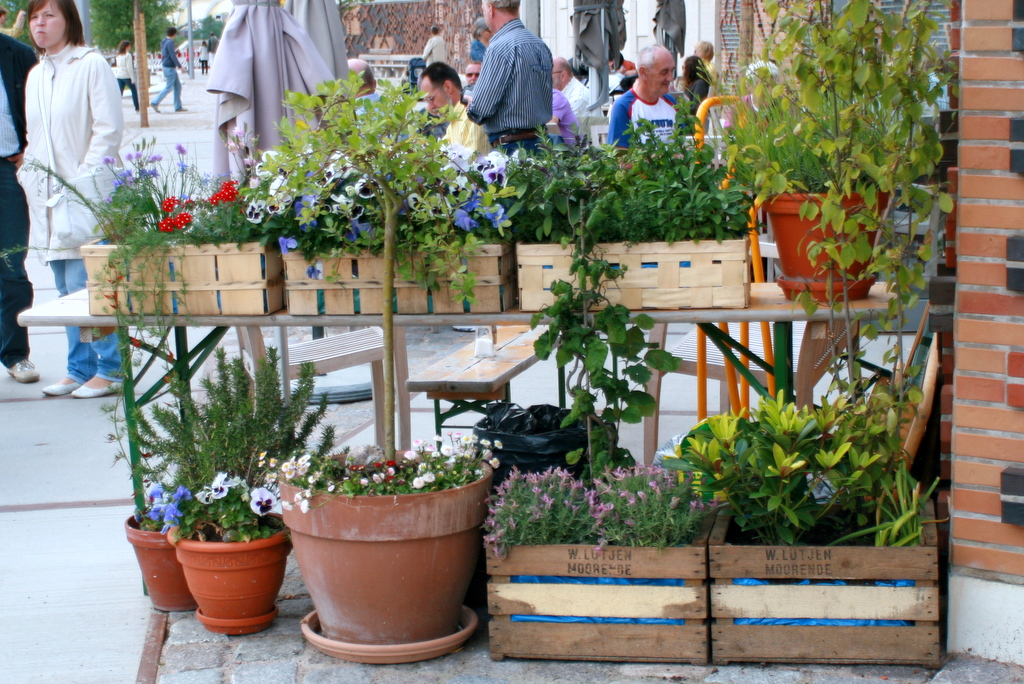 Mini-Garten, irgendwo in der Hafencity...