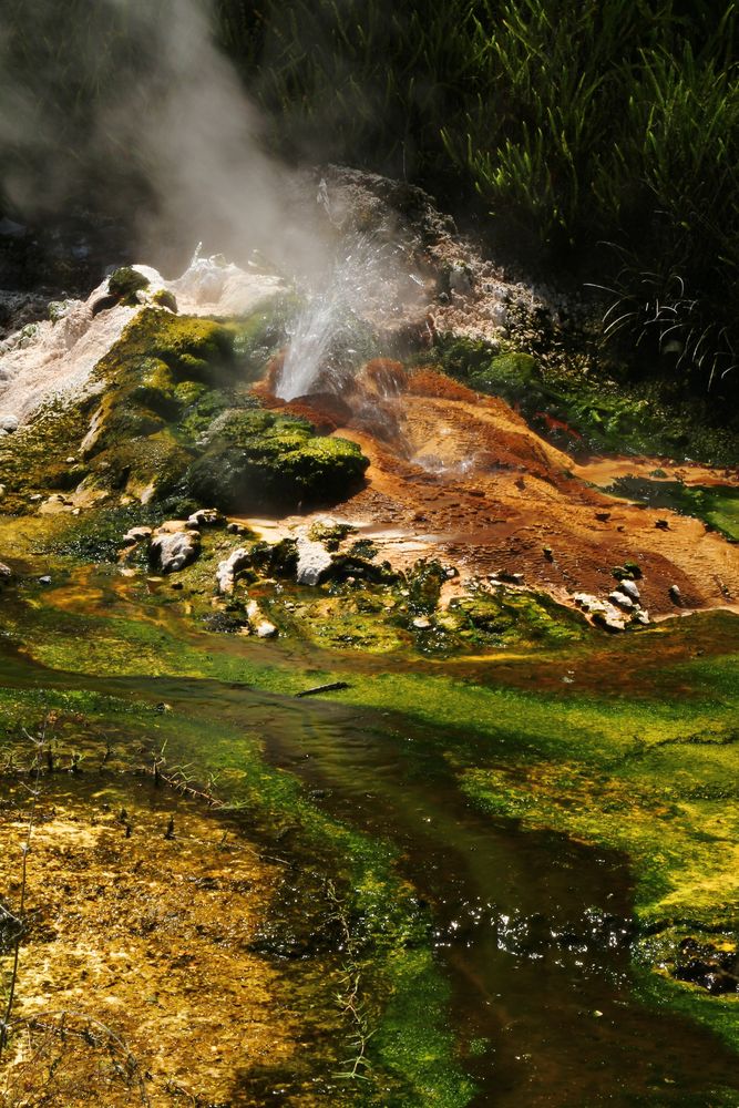 Mini-Geysir