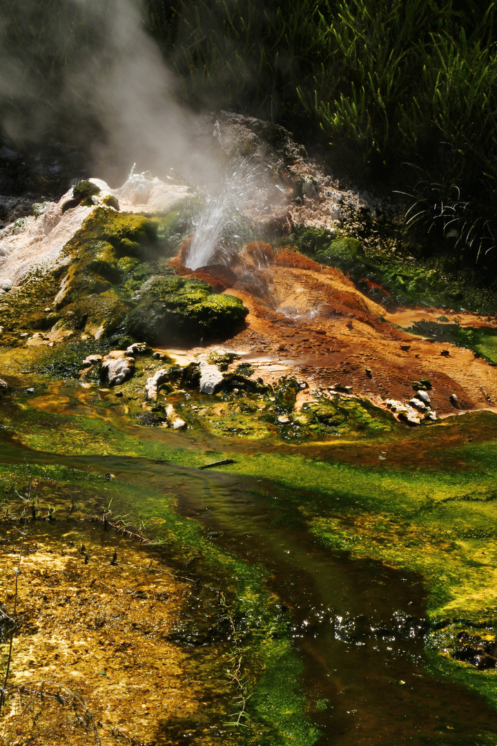 Mini-Geysir