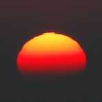 "Mini Green Flash" oder das grüne Blitzchen