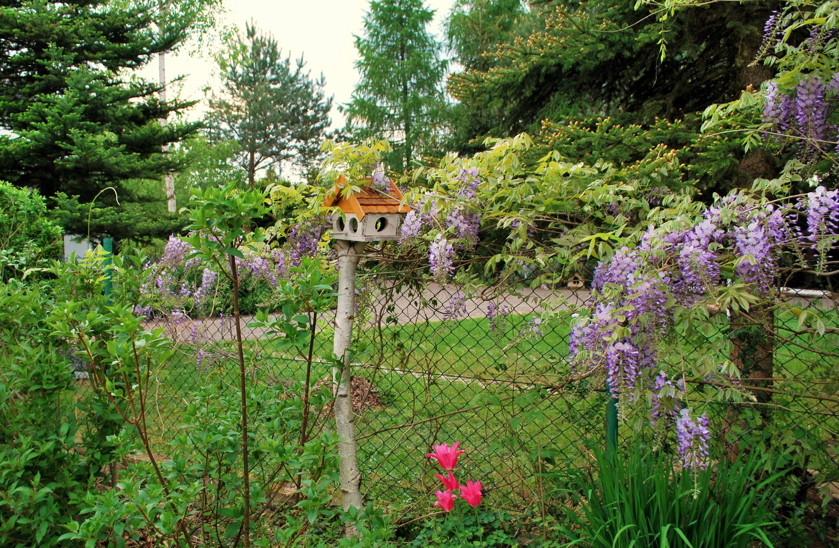 Mini Haus mit Garten