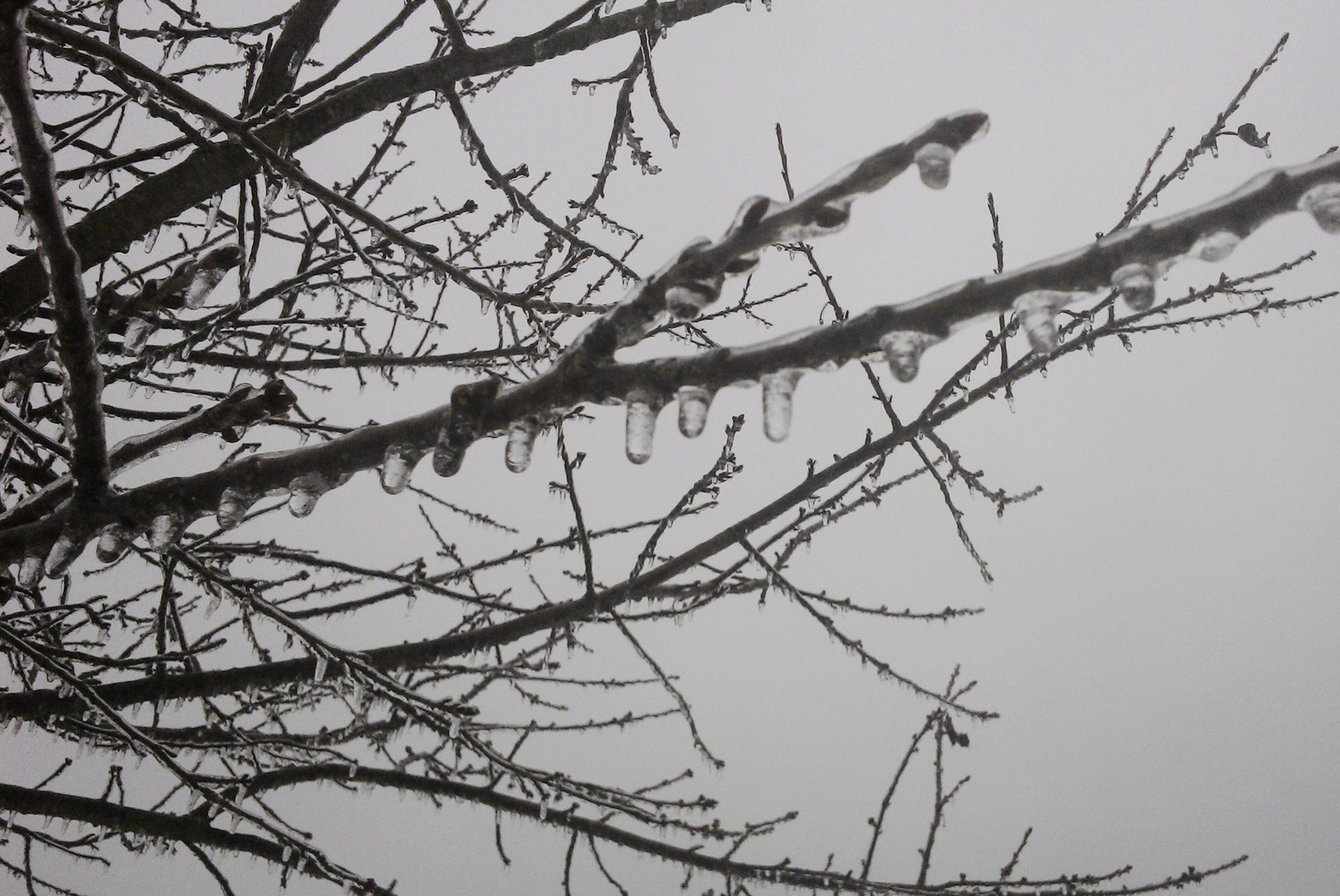 Mini icicles