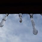 Mini Icicles