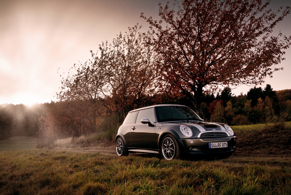 MINI im Herbst