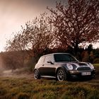 MINI im Herbst