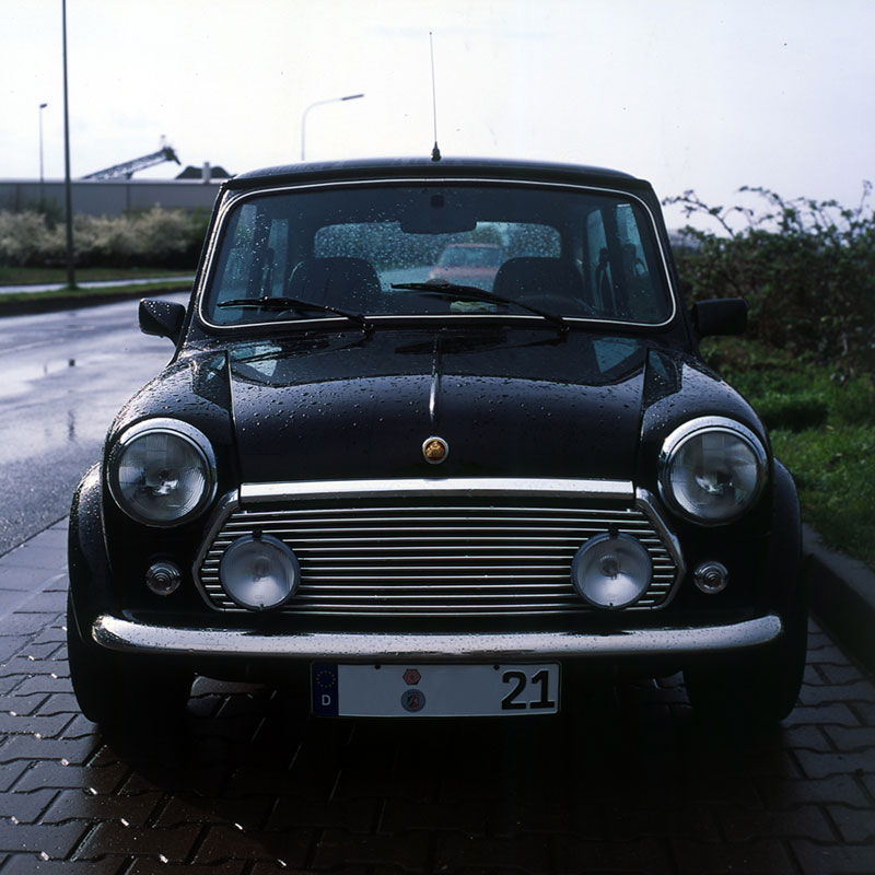 Mini im Regen