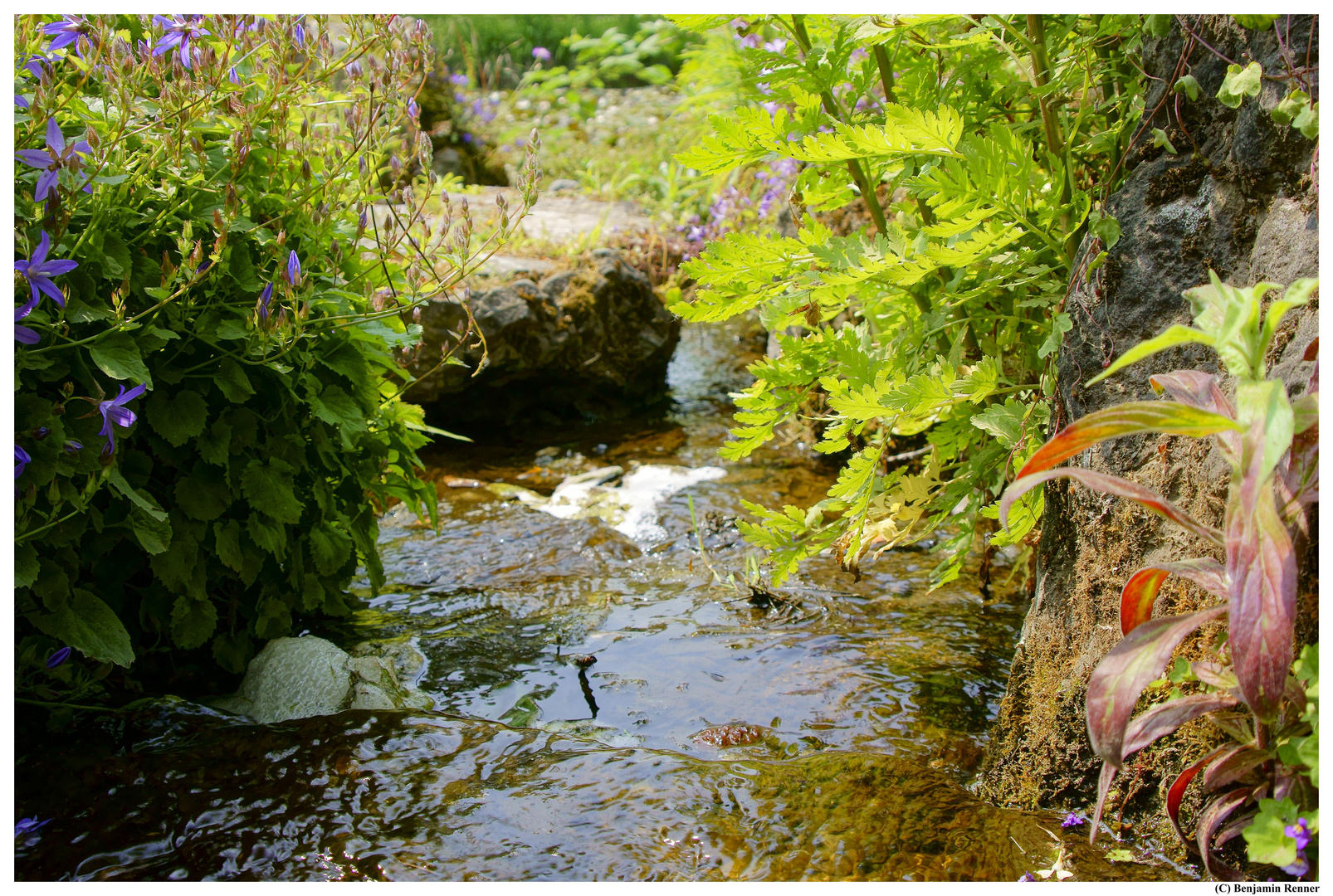 Mini-Landschaft