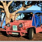 Mini Moke