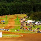 Mini Motocross