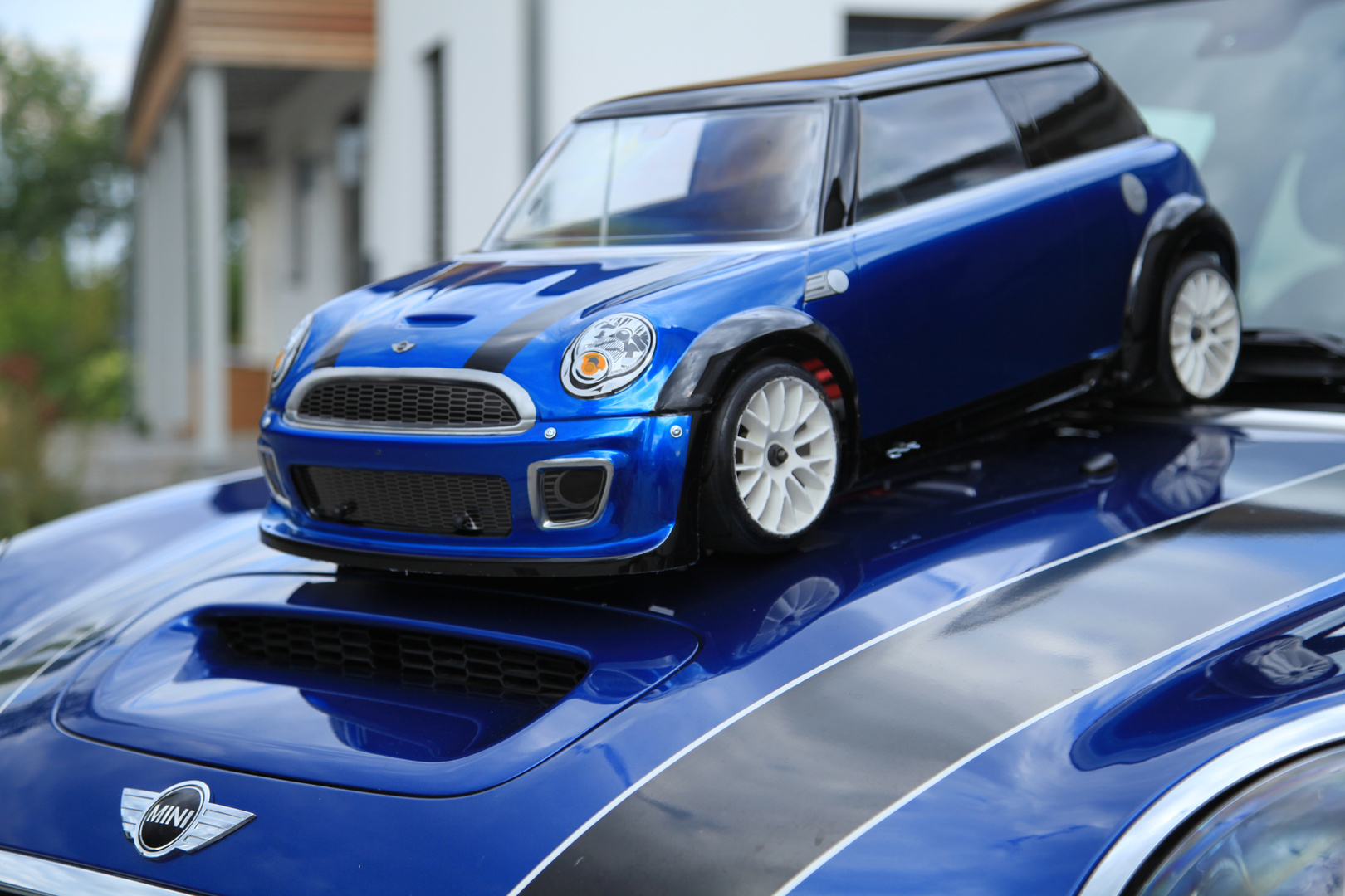 Mini on Mini - einfach riesig