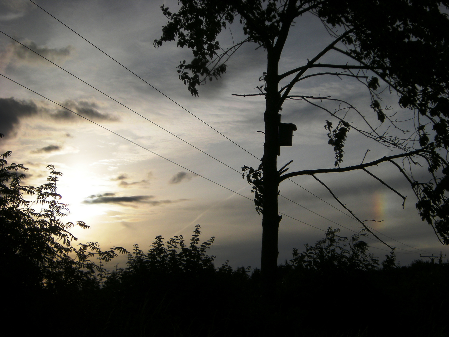 Mini-Regenbogen...