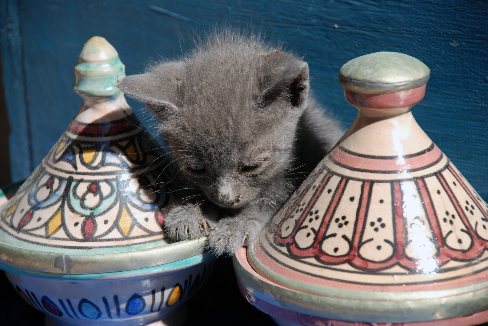 Mini tajine de chat