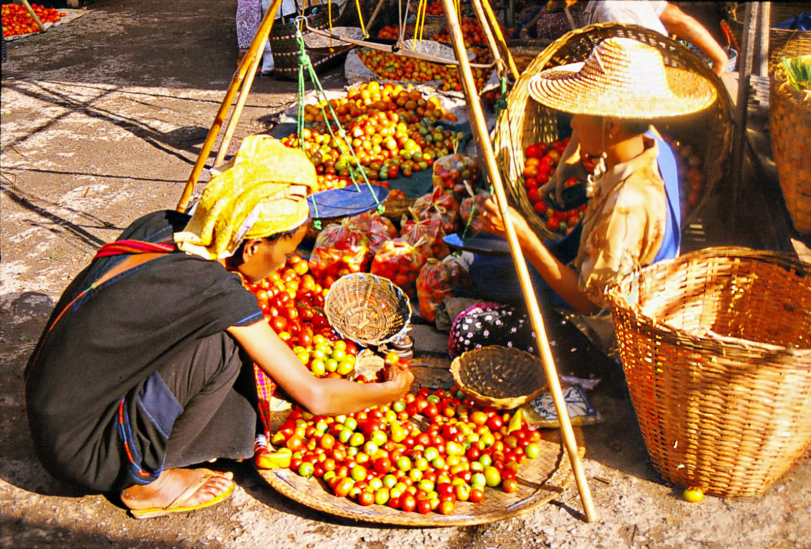 Mini tomates panachées