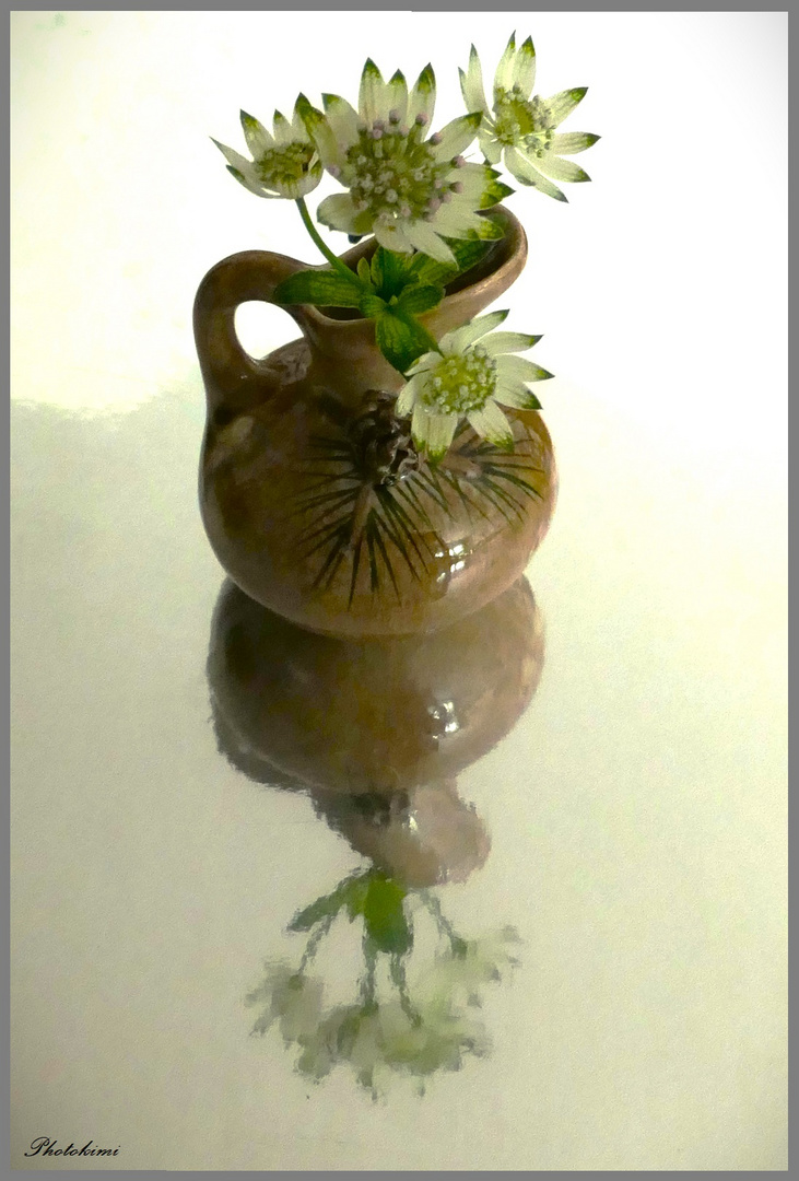 Mini Vase mit Sterndolde