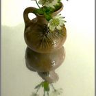 Mini Vase mit Sterndolde