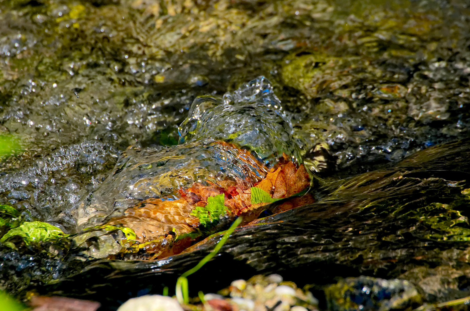 Mini Wasserfall