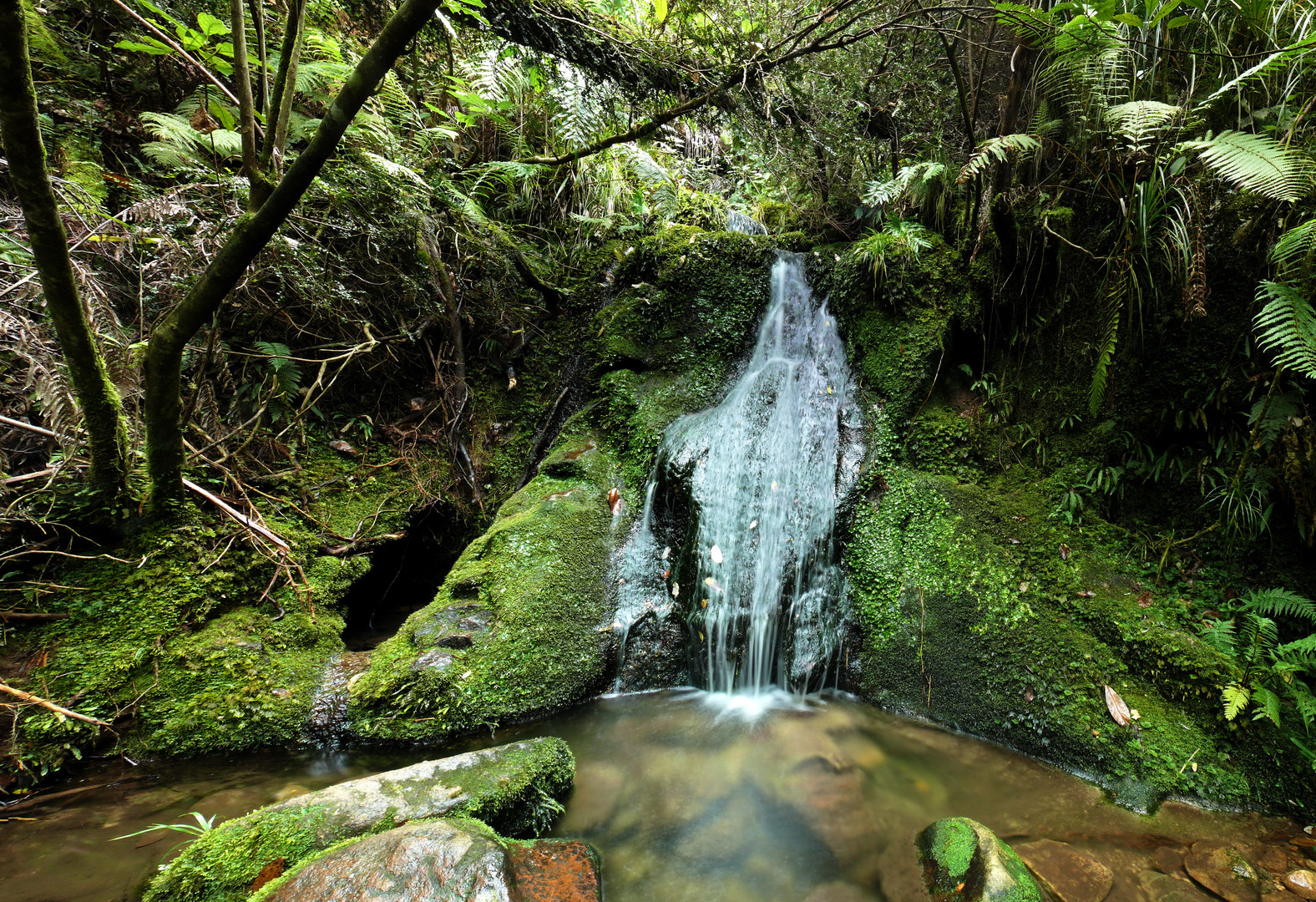 Mini-Wasserfall im Abel Tasman Nationalpark