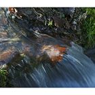 mini-Wasserfall im Wald