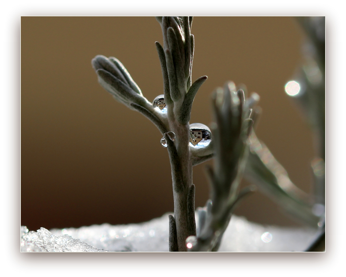 Mini-Winter-Welt...