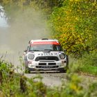 Mini WRC