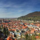 Miniatur Heidelberg