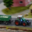 Miniatur-Landwirtschaft