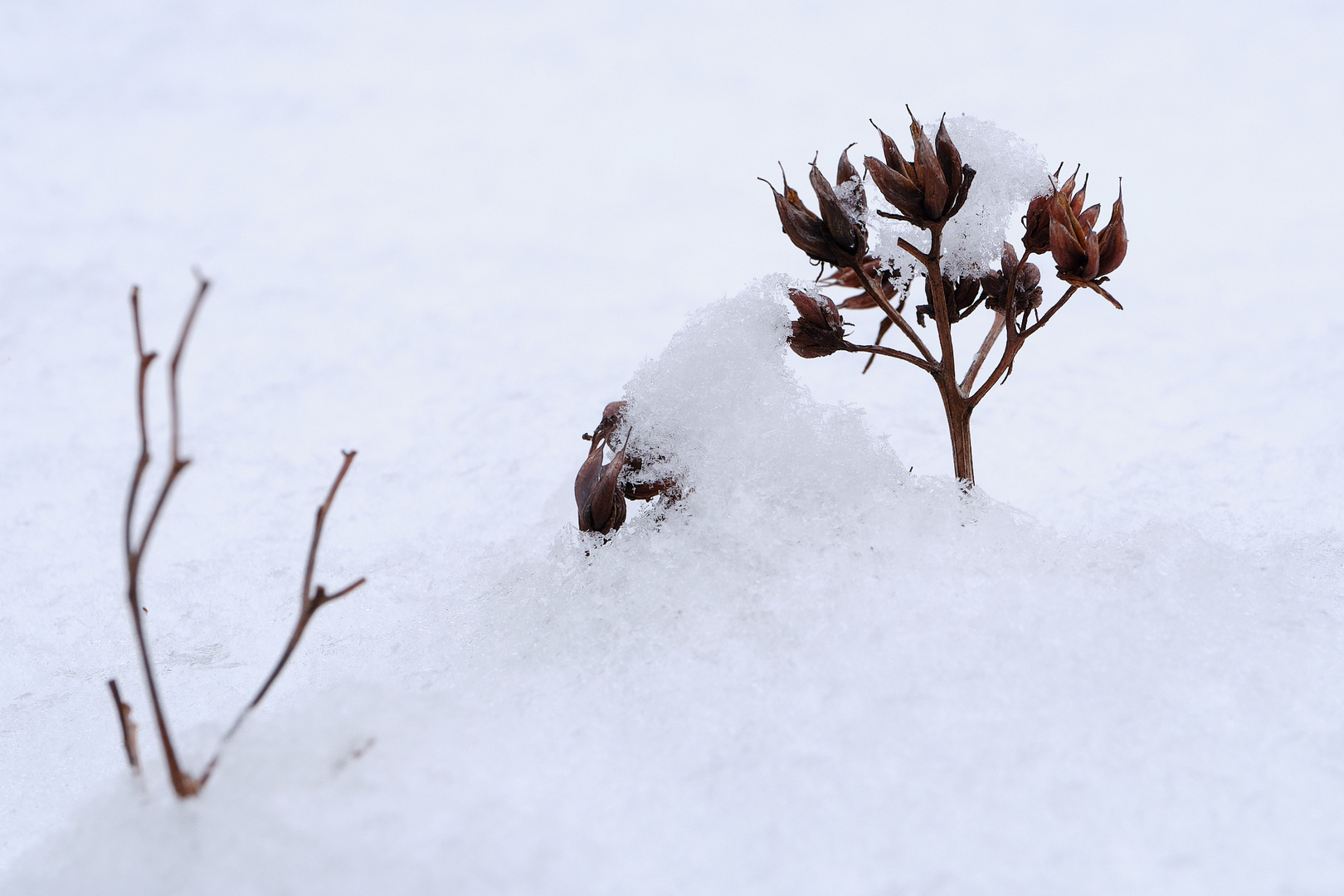 Miniatur-Winterlandschaft