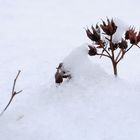 Miniatur-Winterlandschaft