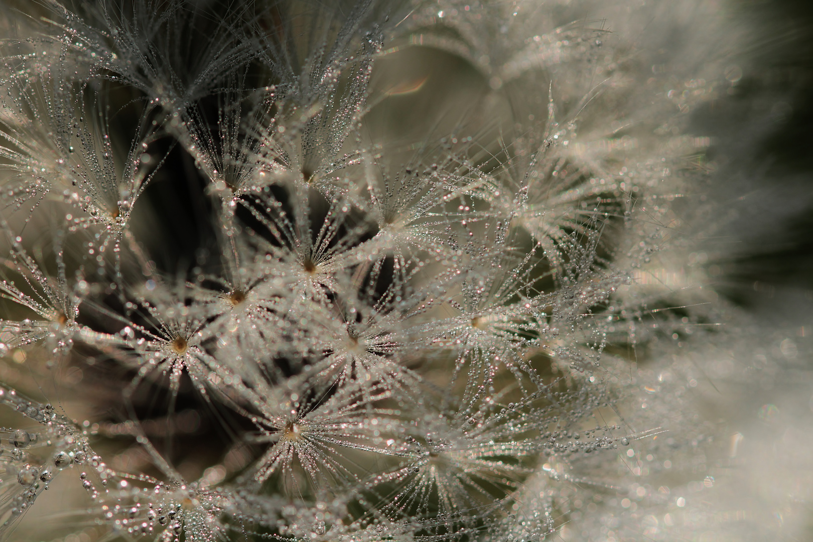 Miniaturkristallleuchter a´la Pusteblume