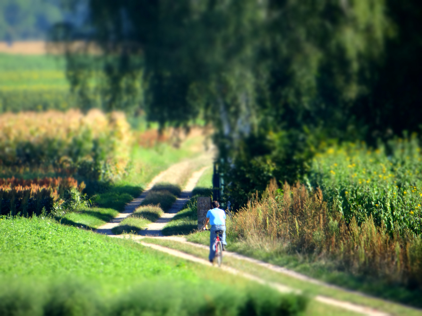 Miniaturlandschaft