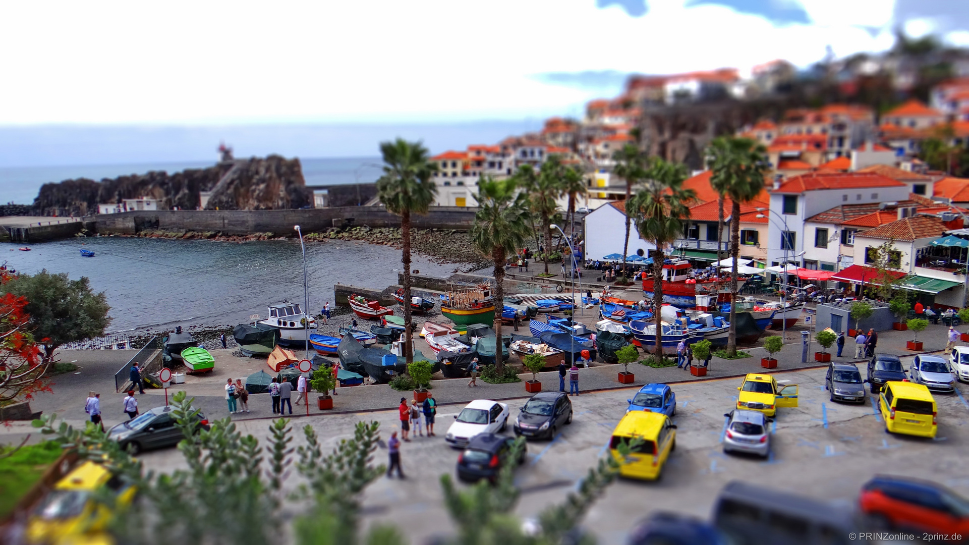 Miniaturlandschaften auf Madeira