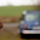 Minicooper auf dem Waldparkplatz