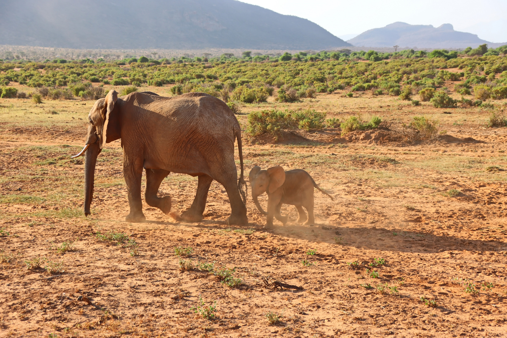 Minifant ....+ Filmchen