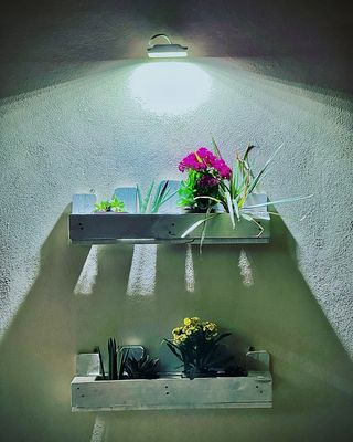 ....minimal garden......